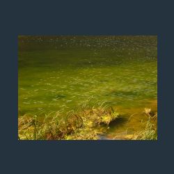 2012-08-11__02Kaerlinger-Haus_Funtensee-Bad (49).JPG